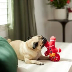 Frisco Holiday Naughty Or Nice Gingerbread Man Reversible Plush Squeaky Dog Toy -Dog Supplies Sale 287217 PT3. AC SS1800 V1632775304