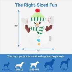 Frisco Holiday Naughty Or Nice Snowman Reversible Plush Squeaky Dog Toy -Dog Supplies Sale 287219 PT2. AC SS1800 V1637704003