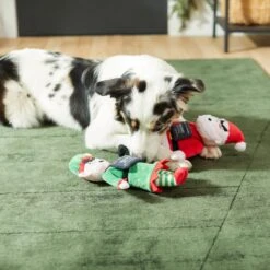 Frisco Holiday Bad Santa & Elf Plush Squeaky Dog Toy -Dog Supplies Sale 287223 PT3. AC SS1800 V1632773570
