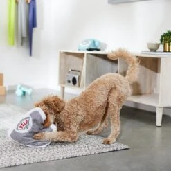 Frisco Scale Plush Squeaky Dog Toy -Dog Supplies Sale 288911 PT3. AC SS1800 V1638289585