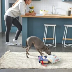 Frisco Cookbooks Plush Squeaky Dog Toy, 2 Count -Dog Supplies Sale 288937 PT3. AC SS1800 V1638287852