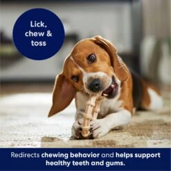 Frisco Ring Tough Nylon Chew Dog Toy, Chicken Flavor -Dog Supplies Sale 290533 PT4. AC SS1800 V1695760990