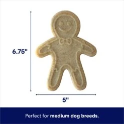 Frisco Nylon Gingerbread Dog Chew Toy, Beef Flavor, Medium -Dog Supplies Sale 291385 PT1. AC SS1800 V1694812785