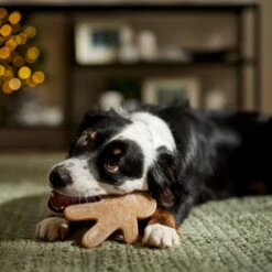Frisco Nylon Gingerbread Dog Chew Toy, Beef Flavor, Medium -Dog Supplies Sale 291385 PT3. AC SS1800 V1668108316