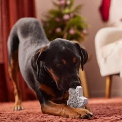 Frisco Holiday Nylon Snowflake Dog Chew Toy, Peanut Butter Flavor, Medium -Dog Supplies Sale 291387 PT3. AC SS1800 V1629306692