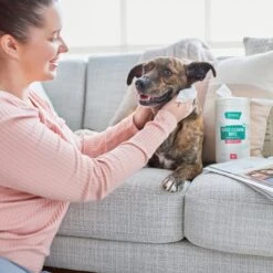 Frisco Gentle Cleaning Waterless Grooming Wipes For Puppies & Kittens, Green Tea Scent -Dog Supplies Sale 291592 PT4. AC SS1800 V1627306695