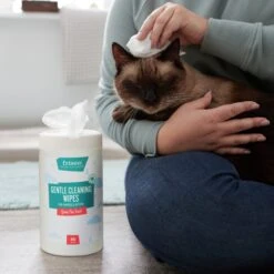Frisco Gentle Cleaning Waterless Grooming Wipes For Puppies & Kittens, Green Tea Scent -Dog Supplies Sale 291592 PT5. AC SS1800 V1627306905