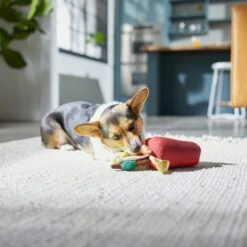 Frisco Brunch Bloody Mary Plush Squeaky Dog Toy 7 Frisco Brunch Bloody Mary Plush Squeaky Dog Toy -Dog Supplies Sale 297228 PT2. AC SS1800 V1642088343