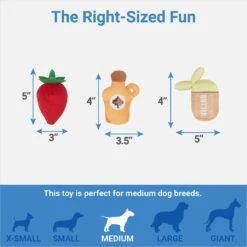 Frisco Brunch Pancake Hide & Seek Puzzle Plush Squeaky Dog Toy -Dog Supplies Sale 297266 PT2. AC SS1800 V1643916712