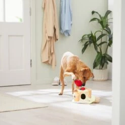 Frisco Brunch Pancake Hide & Seek Puzzle Plush Squeaky Dog Toy -Dog Supplies Sale 297266 PT3. AC SS1800 V1642087986