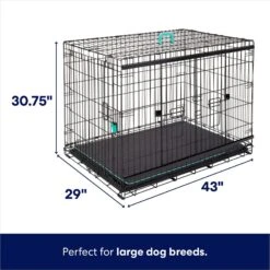 Dog Supplies Sale -Dog Supplies Sale 297461 PT1. AC SS1800 V1633625193