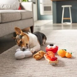 Frisco Lunar New Year Good Fortune Food Plush Squeaky Dog Toy -Dog Supplies Sale 298883 PT3. AC SS1800 V1640269293