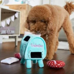 Frisco Valentine Love Letters Hide & Seek Puzzle Plush Squeaky Dog Toy 10 Frisco Valentine Love Letters Hide & Seek Puzzle Plush Squeaky Dog Toy -Dog Supplies Sale 298929 PT3. AC SS1800 V1638987486