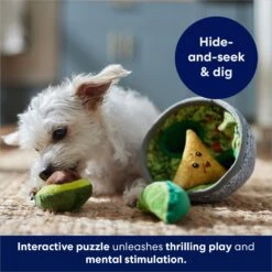 Frisco Guacamole Hide & Seek Puzzle Plush Squeaky Dog Toy & Frisco Guacamole Hide & Seek Puzzle Plush Squeaky Dog Toy Refills -Dog Supplies Sale 302478 PT4. AC SS1800 V1693327290