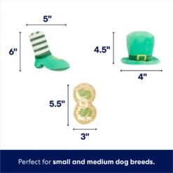 Frisco St. Patrick's Pot Of Gold Hide & Seek Puzzle Plush Squeaky Dog Toy -Dog Supplies Sale 303130 PT2. AC SS1800 V1703016817