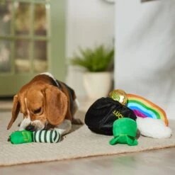 Frisco St. Patrick's Pot Of Gold Hide & Seek Puzzle Plush Squeaky Dog Toy -Dog Supplies Sale 303130 PT4. AC SS1800 V1700163009