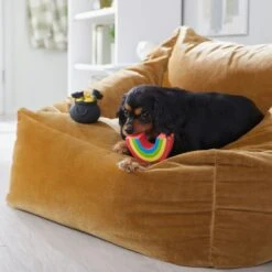 Frisco St. Patrick's Rainbow And Pot Of Gold Latex Squeaky Dog Toy -Dog Supplies Sale 303136 PT4. AC SS1800 V1702500566