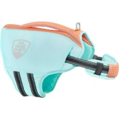 Frisco Active Dog Life Jacket & Frisco Foam Rubber Floating Fetch Ball No Squeak Dog Toy -Dog Supplies Sale 303364 PT2. AC SS1800 V1623163059