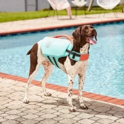 Frisco Active Dog Life Jacket & Frisco Foam Rubber Floating Fetch Ball No Squeak Dog Toy -Dog Supplies Sale 303364 PT3. AC SS1800 V1623163058