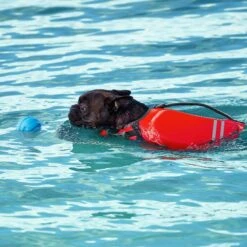 Frisco Active Dog Life Jacket & Frisco Foam Rubber Floating Fetch Ball No Squeak Dog Toy -Dog Supplies Sale 303364 PT8. AC SS1800 V1623163654