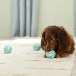 Frisco Easter Fetch Squeaky Tennis Ball Dog Toy, Medium, 3 Count -Dog Supplies Sale 304964 PT4. AC SS1800 V1703184745