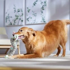 Frisco Easter Bunny Plush With Rope Squeaky Dog Toy -Dog Supplies Sale 304974 PT4. AC SS1800 V1702500566