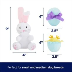 Frisco Easter Basket Hide & Seek Puzzle Plush Squeaky Dog Toy -Dog Supplies Sale 304982 PT2. AC SS1800 V1702665735