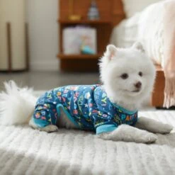Frisco Celebration Dog & Cat PJs -Dog Supplies Sale 315105 PT8. AC SS1800 V1646437758
