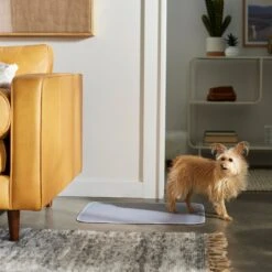 Frisco Washable Dog Potty Pads -Dog Supplies Sale 315712 PT3. AC SS1800 V1644880410