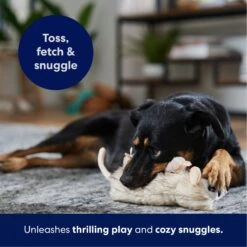 Frisco Realistic Opossum Plush Squeaky Dog Toy -Dog Supplies Sale 316929 PT4. AC SS1800 V1695760990