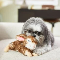 Frisco Realistic Plush Rabbit Plush Dog Toy, Small -Dog Supplies Sale 316933 PT2. AC SS1800 V1641400634