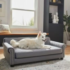 Frisco Sofa Pet Bed With Removable Cover & Frisco Eyelash Cat & Dog Blanket -Dog Supplies Sale 319504 PT4. AC SS1800 V1630625195