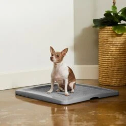 Frisco Training Pad Holder & Frisco Premium Dog Training & Potty Pads -Dog Supplies Sale 319526 PT4. AC SS1800 V1630624305