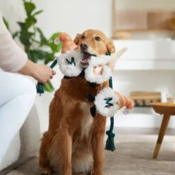 Frisco Mother's Day Gnomes Plush With Rope Squeaky Dog Toy -Dog Supplies Sale 327037 PT3. AC SS1800 V1646948102