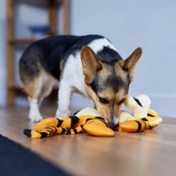 Disney Tigger Bungee Plush Squeaky Dog Toy -Dog Supplies Sale 328769 PT3. AC SS1800 V1657718551