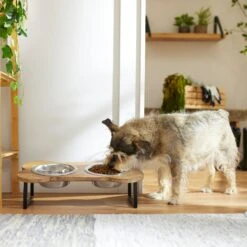 Frisco Premium Wood Elevated Bone Shape Stainless Steel Double Diner Dog & Cat Bowl, 3 Cup -Dog Supplies Sale 331497 PT2. AC SS1800 V1657656892