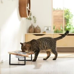 Frisco Premium Wood Elevated Bone Shape Stainless Steel Double Diner Dog & Cat Bowl, 3 Cup -Dog Supplies Sale 331497 PT3. AC SS1800 V1657656892