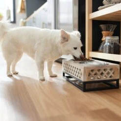 Frisco Premium Wood Elevated Stainless Steel Double Diner Dog & Cat Bowl, 3 Cup -Dog Supplies Sale 331507 PT2. AC SS1800 V1657656894