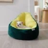Frisco Avocado Cat & Dog Bed -Dog Supplies Sale 333856 MAIN. AC SS1800 V1658717997
