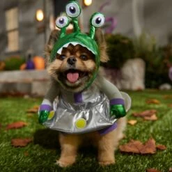Frisco Front Walking Alien Dog & Cat Costume -Dog Supplies Sale 334795 PT7. AC SS1800 V1657718966