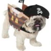 Frisco Pirate Ship Dog & Cat Costume