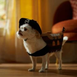 Frisco Pirate Ship Dog & Cat Costume -Dog Supplies Sale 335078 PT7. AC SS1800 V1657656881