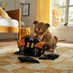 Frisco Halloween Haunted House Hide & Seek Puzzle Plush Squeaky Dog Toy -Dog Supplies Sale 344136 PT3. AC SS1800 V1657657042