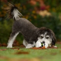 Frisco Halloween Mummy Latex Squeaky Dog Toy -Dog Supplies Sale 344140 PT3. AC SS1800 V1657657042