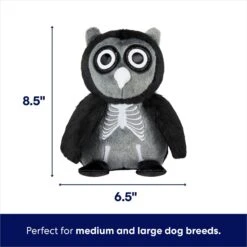 Frisco Halloween Spooky Owl Plush Squeaky Dog Toy -Dog Supplies Sale 344162 PT1. AC SS1800 V1689877940