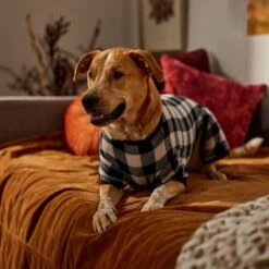 Frisco Plaid Dog & Cat Fleece Pajamas -Dog Supplies Sale 353755 PT6. AC SS1800 V1660749967