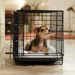 Frisco Adjustable Electrical Dog & Cat Heated Crate Mat With Timer -Dog Supplies Sale 358546 PT5. AC SS1800 V1662500981