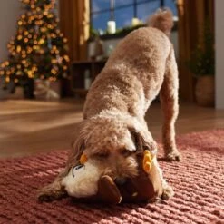 Frisco Holiday Festive Owl Plush Squeaky Dog Toy -Dog Supplies Sale 360919 PT3. AC SS1800 V1661874361