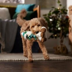 Frisco Holiday Fa La La Llama Plush Squeaky Dog Toy -Dog Supplies Sale 360924 PT3. AC SS1800 V1661874373