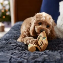 Frisco Holiday Santa's List Plush & TPR Inside Dog Toy -Dog Supplies Sale 360970 PT3. AC SS1800 V1661874421